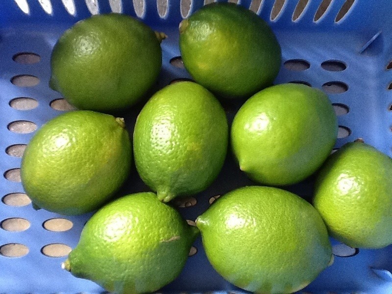 ����-���ʴ׵�����