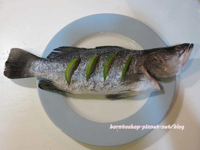 ���￾�ⴴ������֮���Ǻ�¿�������