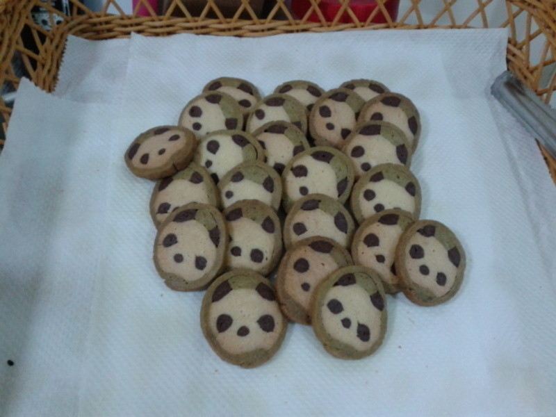 Ĩ����è���ɵ�����