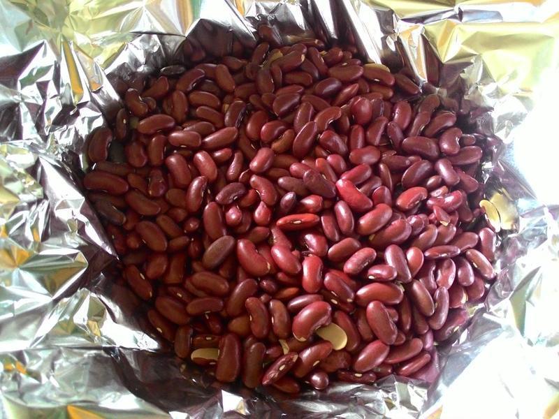 ���Ҳ����ɵ�����