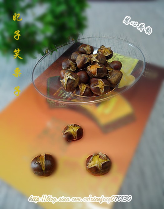 �ǳ�����Ц���ӵ�����