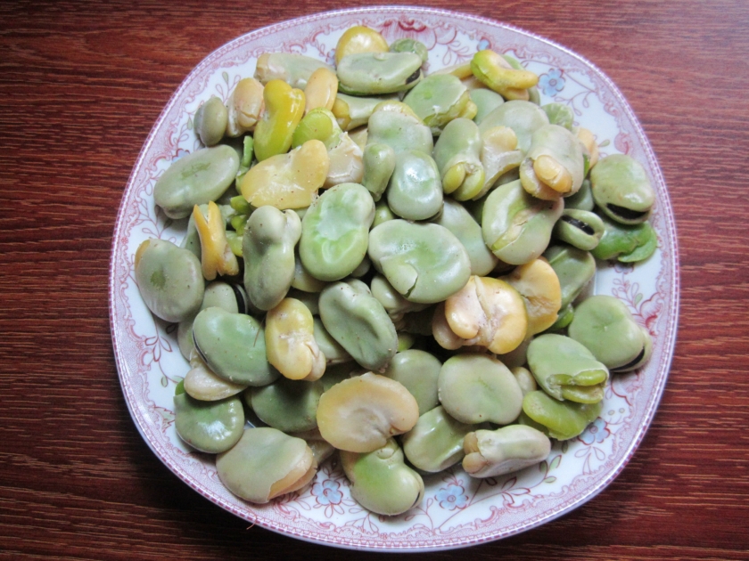 �����ϲ϶�������