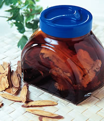 ����׵�����