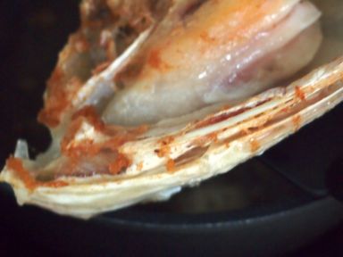 ������˿�˴���ͷ������