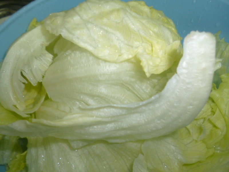 �������������