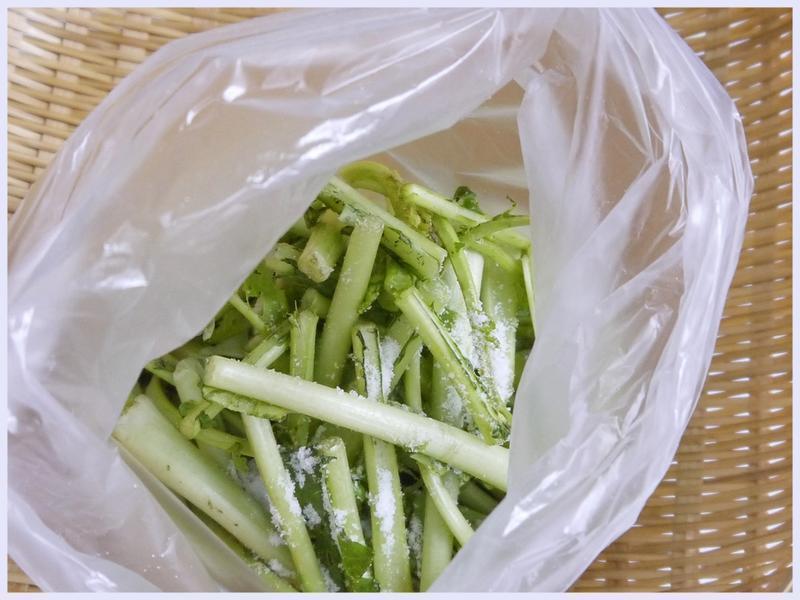 �ܲ�������ĩ������