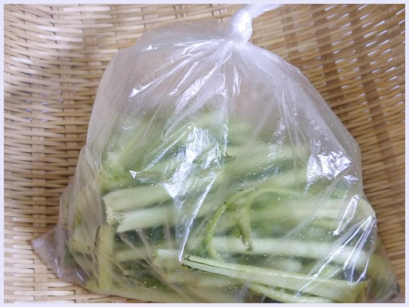 �ܲ�������ĩ������