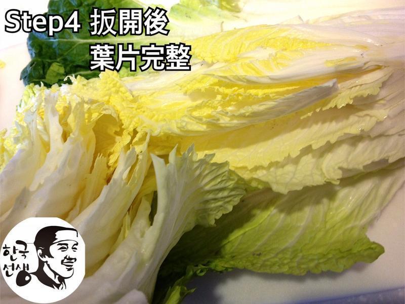 �����ݲ� , ������ɷ�������