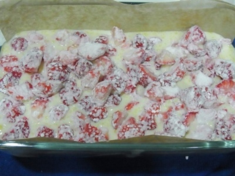 ����ݮ�Ͱ�ӥ�����̡����ֲ�ݮ������������