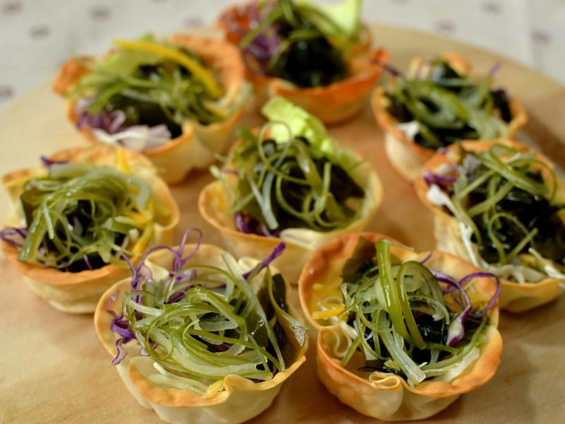 �������ɳ���ѵ�����