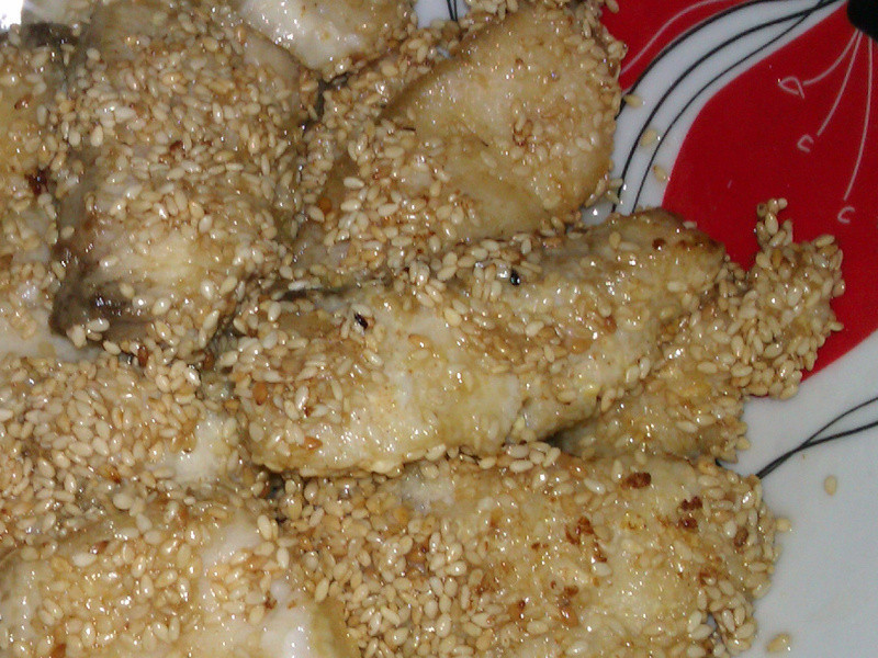 ֥������Ƭ������