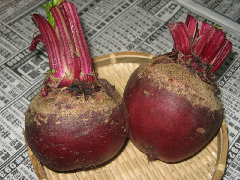 ��˸�����������