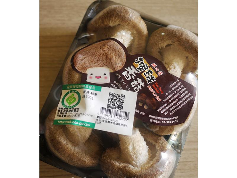 �׾������������������