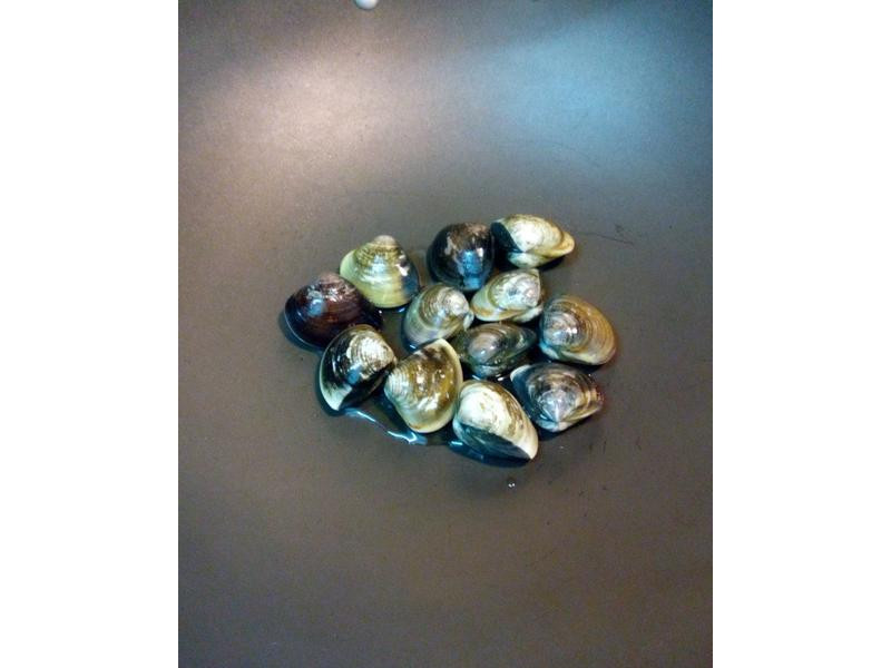 ������۵�����������