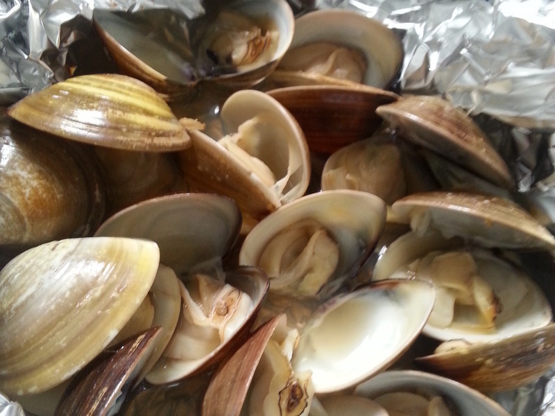 ���������۵�����