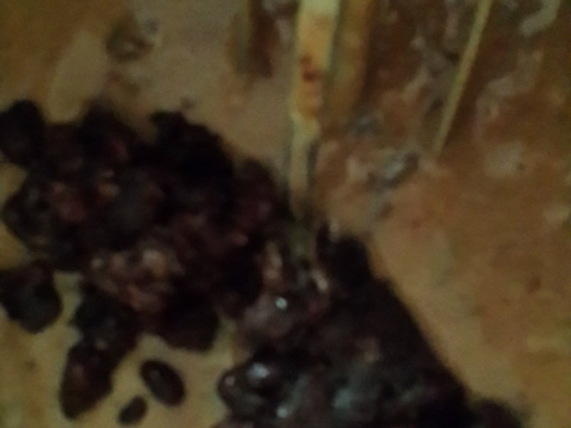 ޲�ʺ춹QԲ������