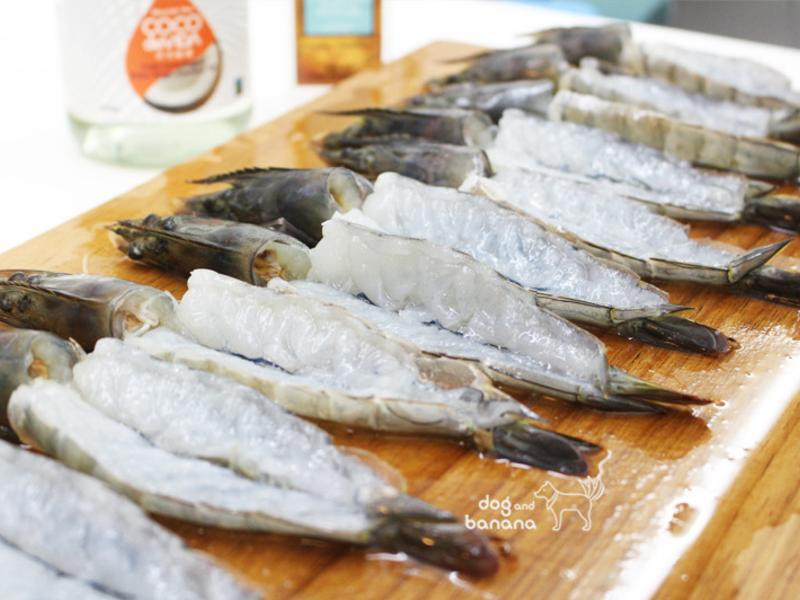 ��������Ϻ������