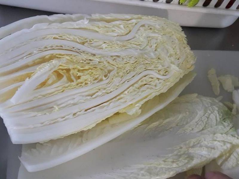 ����,�ײ�³������