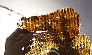 ��Ӱţ�⣨һ��������