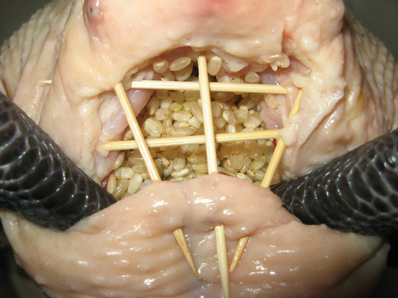 �ؼһ��֣�������---��˵�����