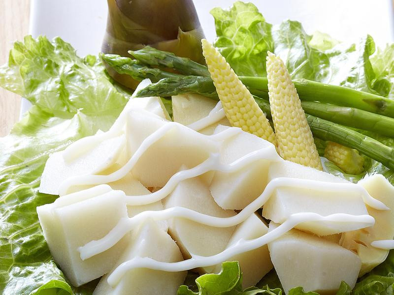 ����ɳ��������