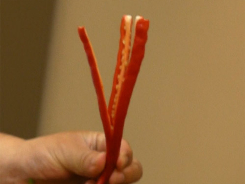 ��ʽ��Ӭͷ������