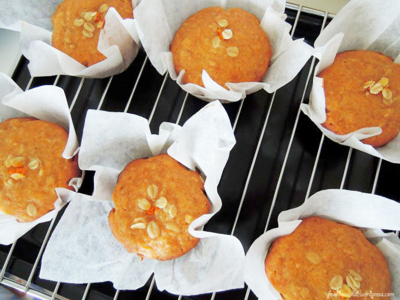 ���ܲ������ӵ��������