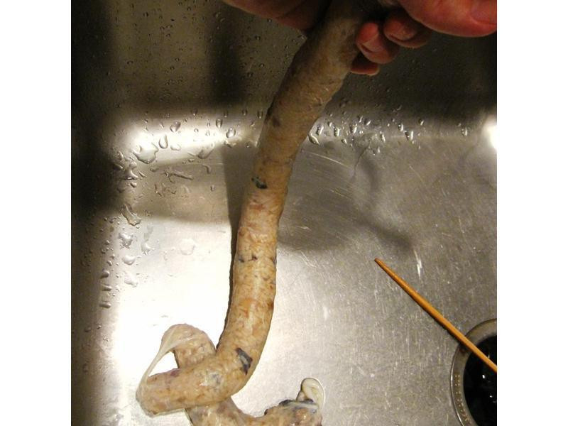 ����Ŵ�׳�������