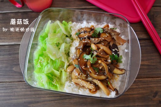 Ģ����������