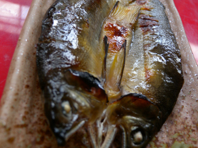 ������ʳ-�㿾����һҹ�ɵ�����