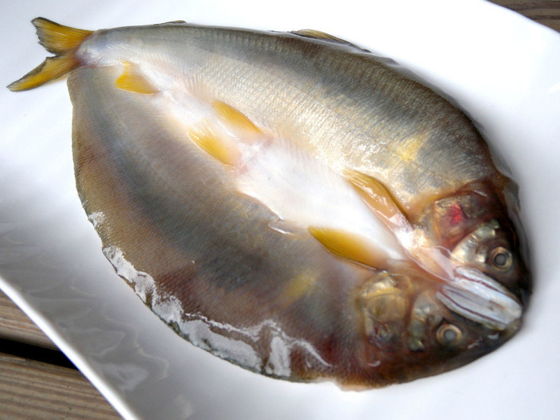 ������ʳ-�㿾����һҹ�ɵ�����