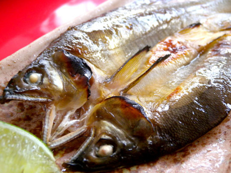 ������ʳ-�㿾����һҹ�ɵ�����