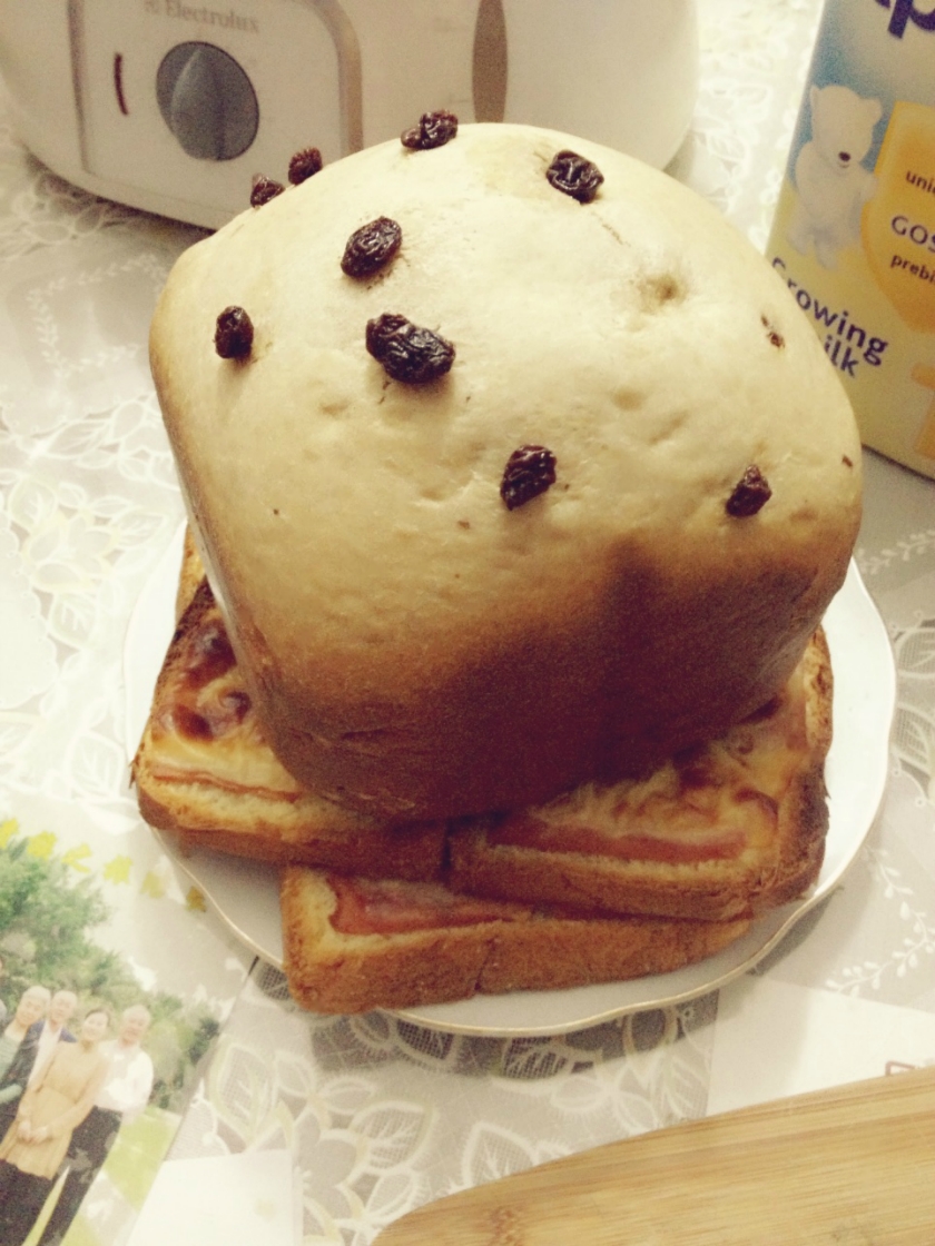 ����������Ѹ����������