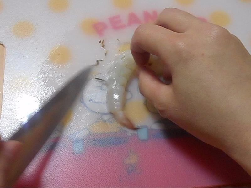 Ϻ����������ը�����ϴ��������Υ�ե饤��������