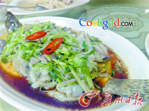 �����͹���Ƭ������