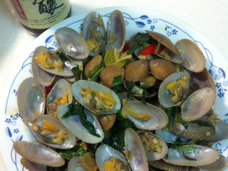 �۴������ν��ͣ����������ӵ�����