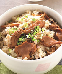 �乽��������