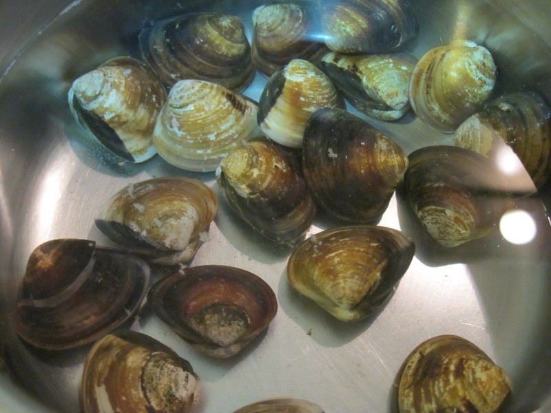 ��ʯ�ĸ���䶬����������