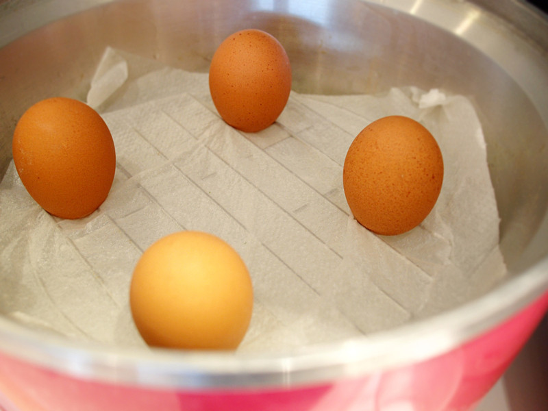 ���������ĵ�������