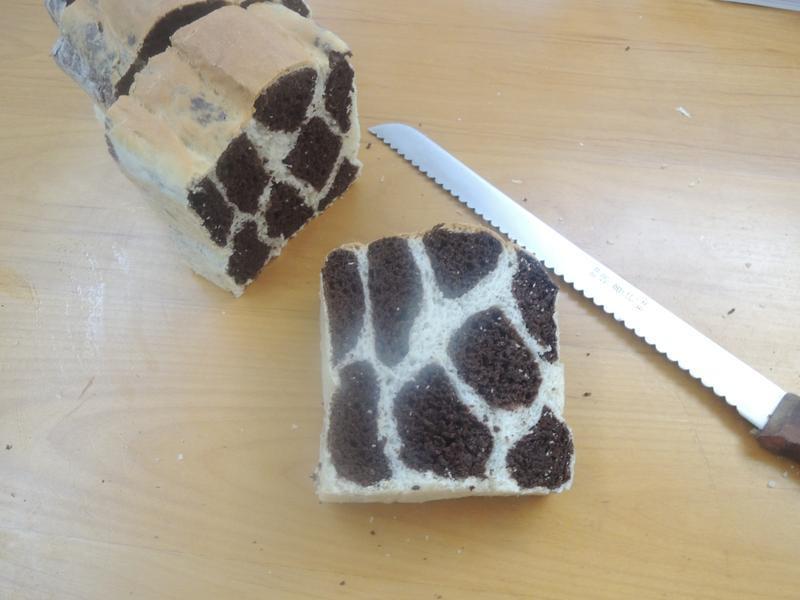 ����¹��˾ ����~ stone������