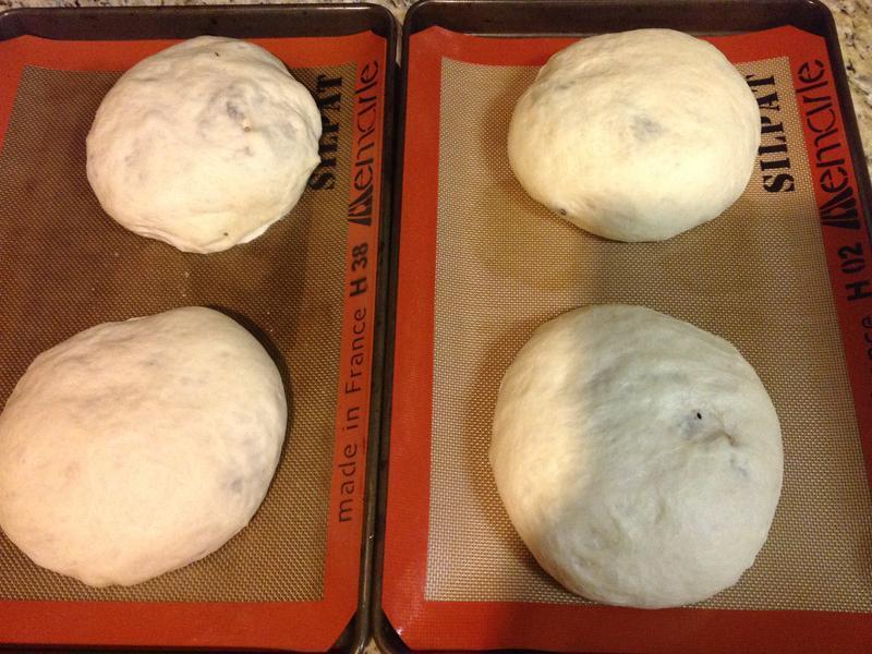 �Ÿ����Ѹ���Խݮ���������������