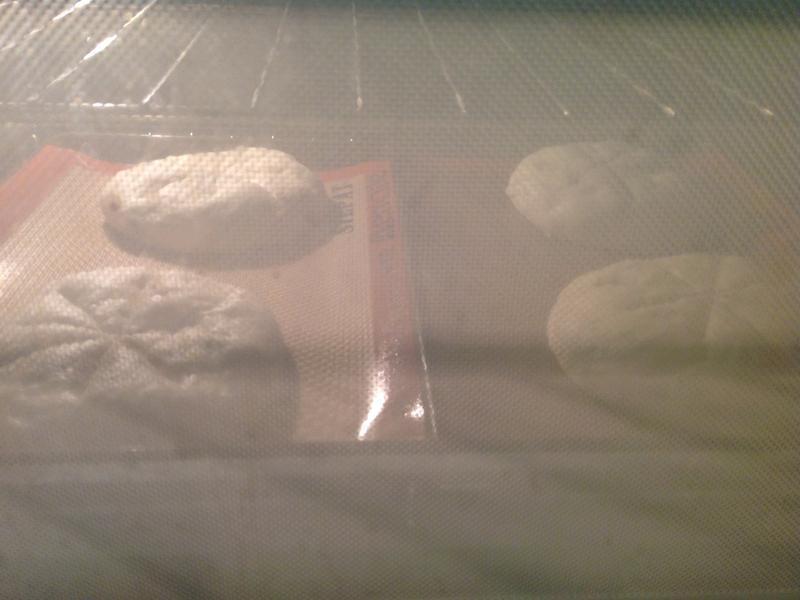 �Ÿ����Ѹ���Խݮ���������������