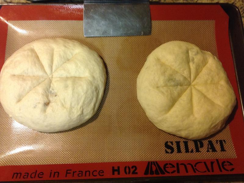 �Ÿ����Ѹ���Խݮ���������������