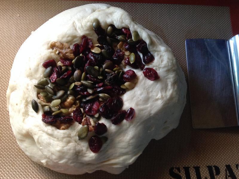 �Ÿ����Ѹ���Խݮ���������������