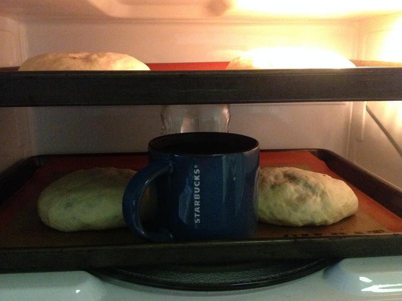 �Ÿ����Ѹ���Խݮ���������������