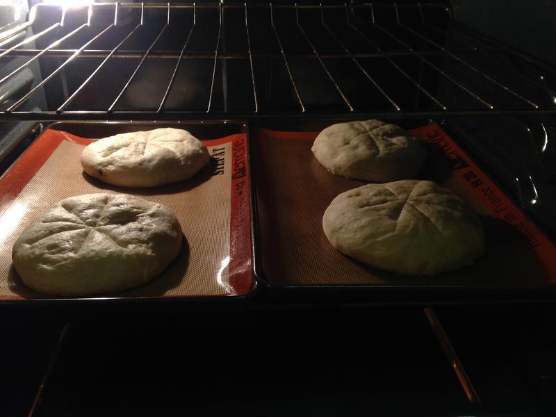 �Ÿ����Ѹ���Խݮ���������������