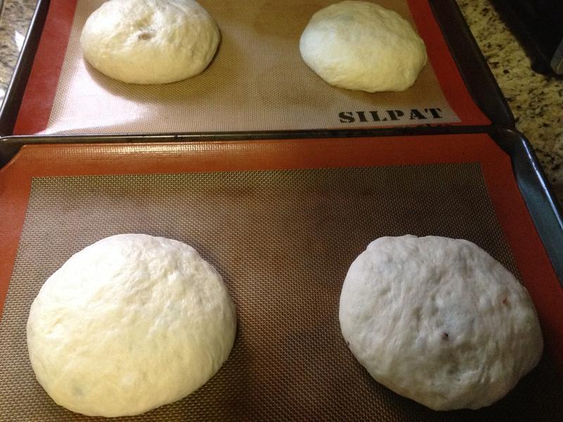 �Ÿ����Ѹ���Խݮ���������������