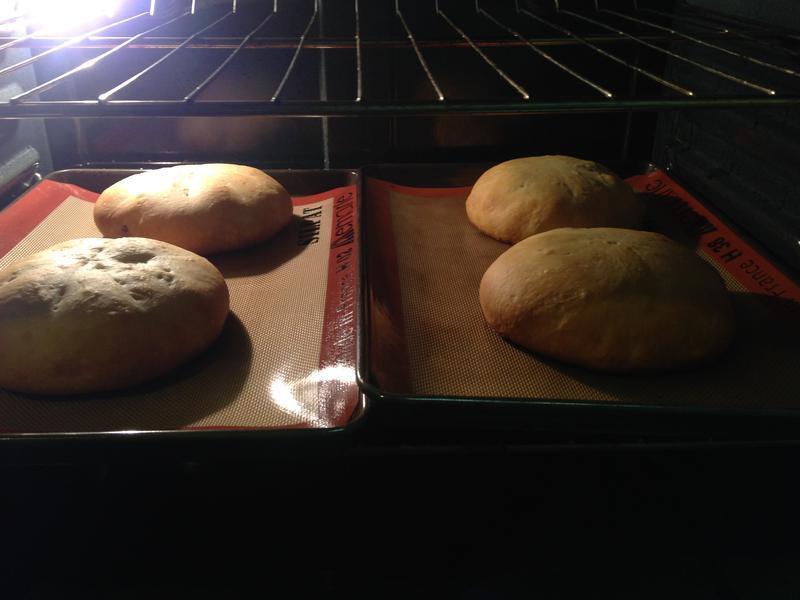 �Ÿ����Ѹ���Խݮ���������������