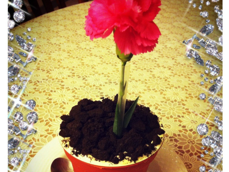 [���ǳ���] ���Ա���ܵ��������