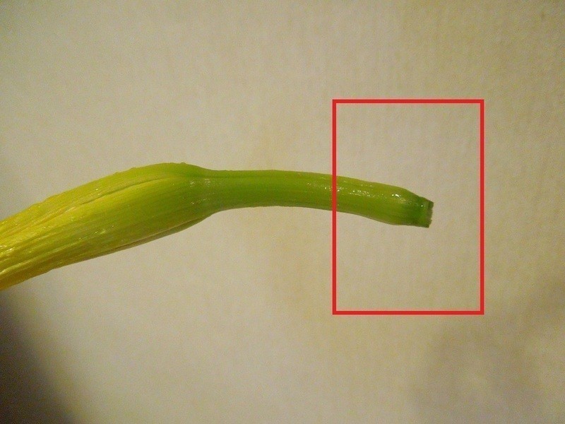 ����˫���������